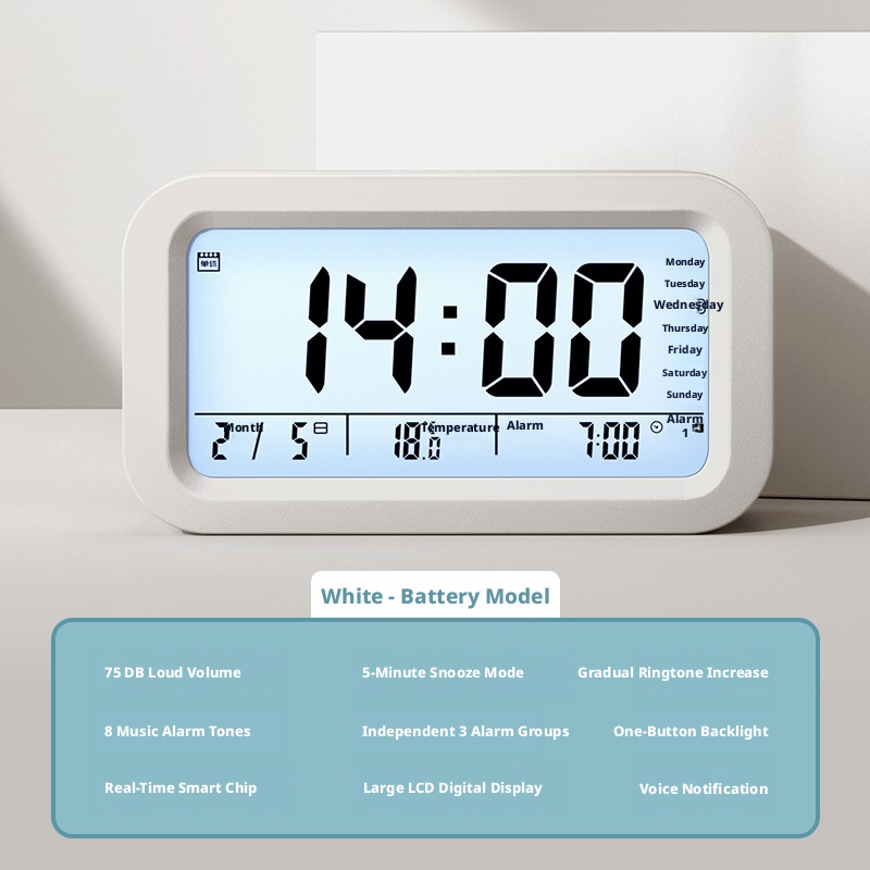Electronic Timer-White Battery Model