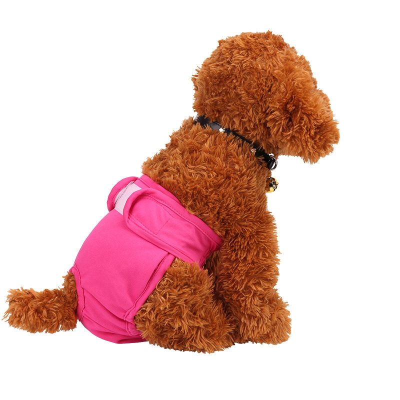 Anti-harassment Menstrual Physiological Pants With Velcro